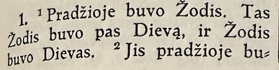 Pradžioje buvo Žodis. Tas Žodis buvo pas Dievą, ir Žodis buvo Dievas.